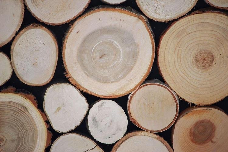 Is Ash Wood the Most Underrated Furniture Material in China? Here’s What Buyers Miss